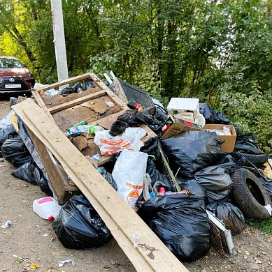 В Иванове студенты соревновались в уборке парка